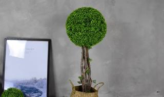 橱窗推荐是什么意思 橱窗推荐是什么意思