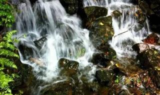 育婴师报考入口 育婴师报考入口