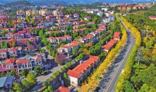 仙女山旅游 仙女山旅游