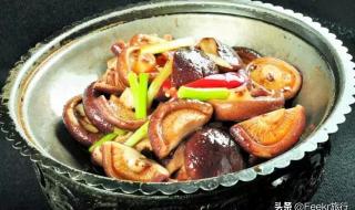 香菇之乡在哪浙江