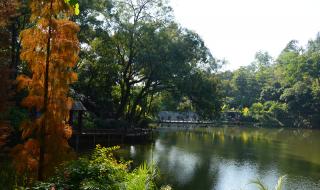 广州云台花园好玩吗